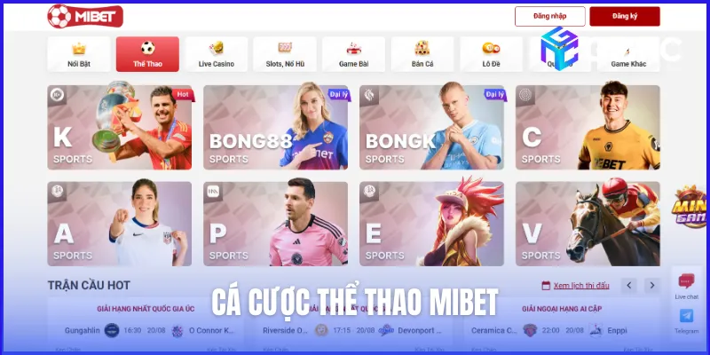 Cá cược thể thao là nơi quy tụ vô số giải đấu lớn nhỏ trên toàn cầu